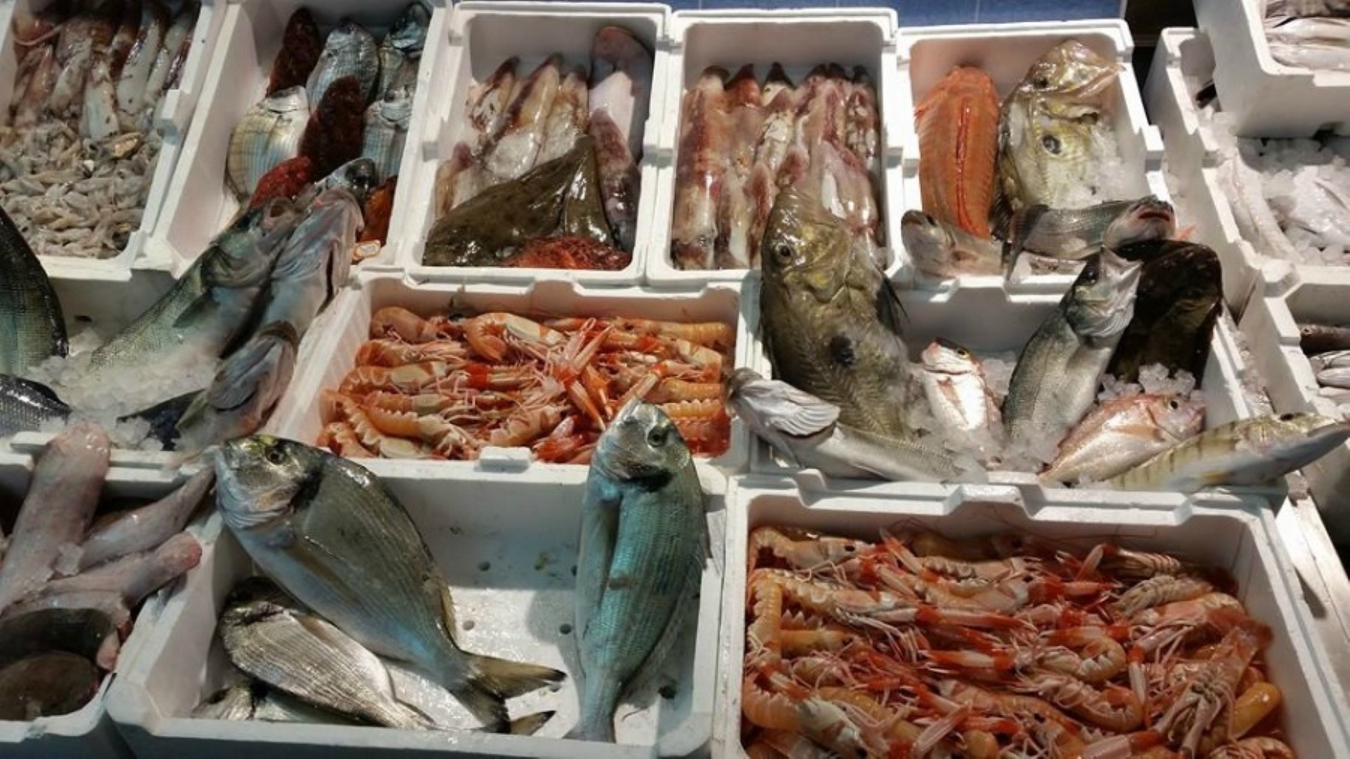 Gaeta / Mercato del pesce in crisi, l’Ana Ugl scrive al sindaco Leccese per un incontro urgente