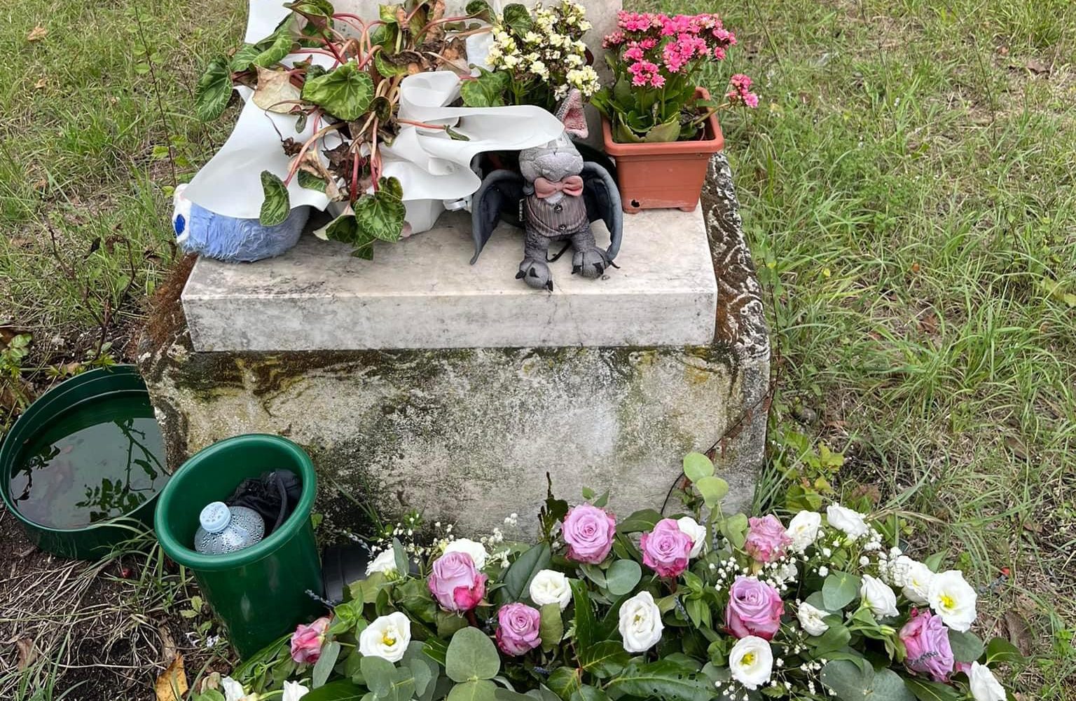 Arce / Bouquet delle nozze sulla lapide di Serena Mollicone, il dono di una coppia di neo sposi