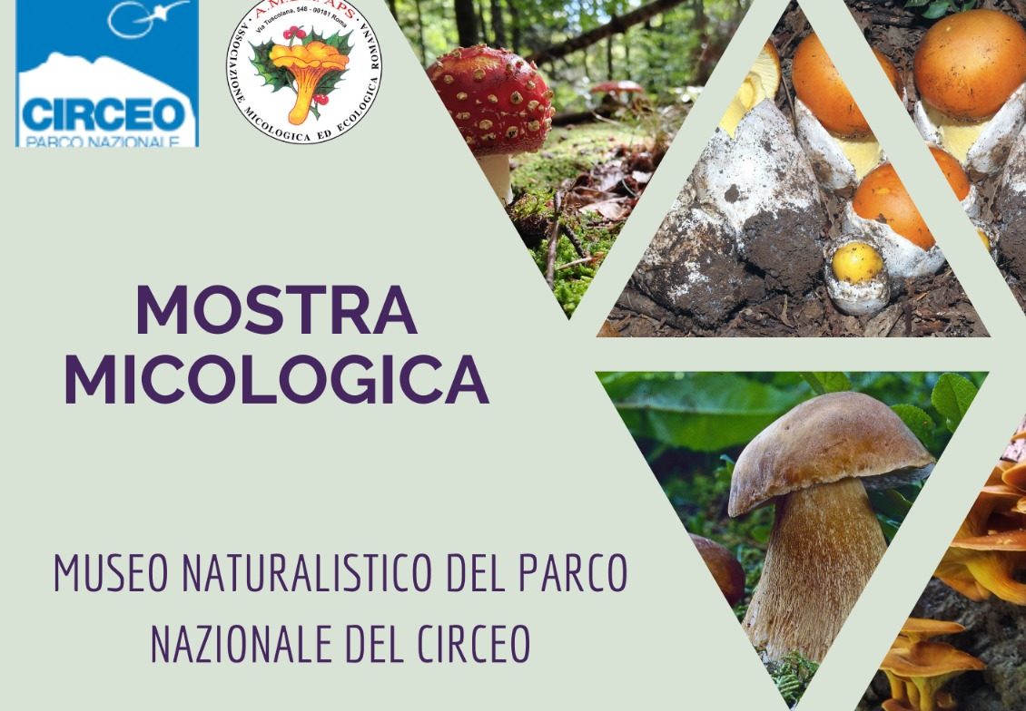 Sabaudia / Mostra micologica dell’Associazione micologica ecologica romana