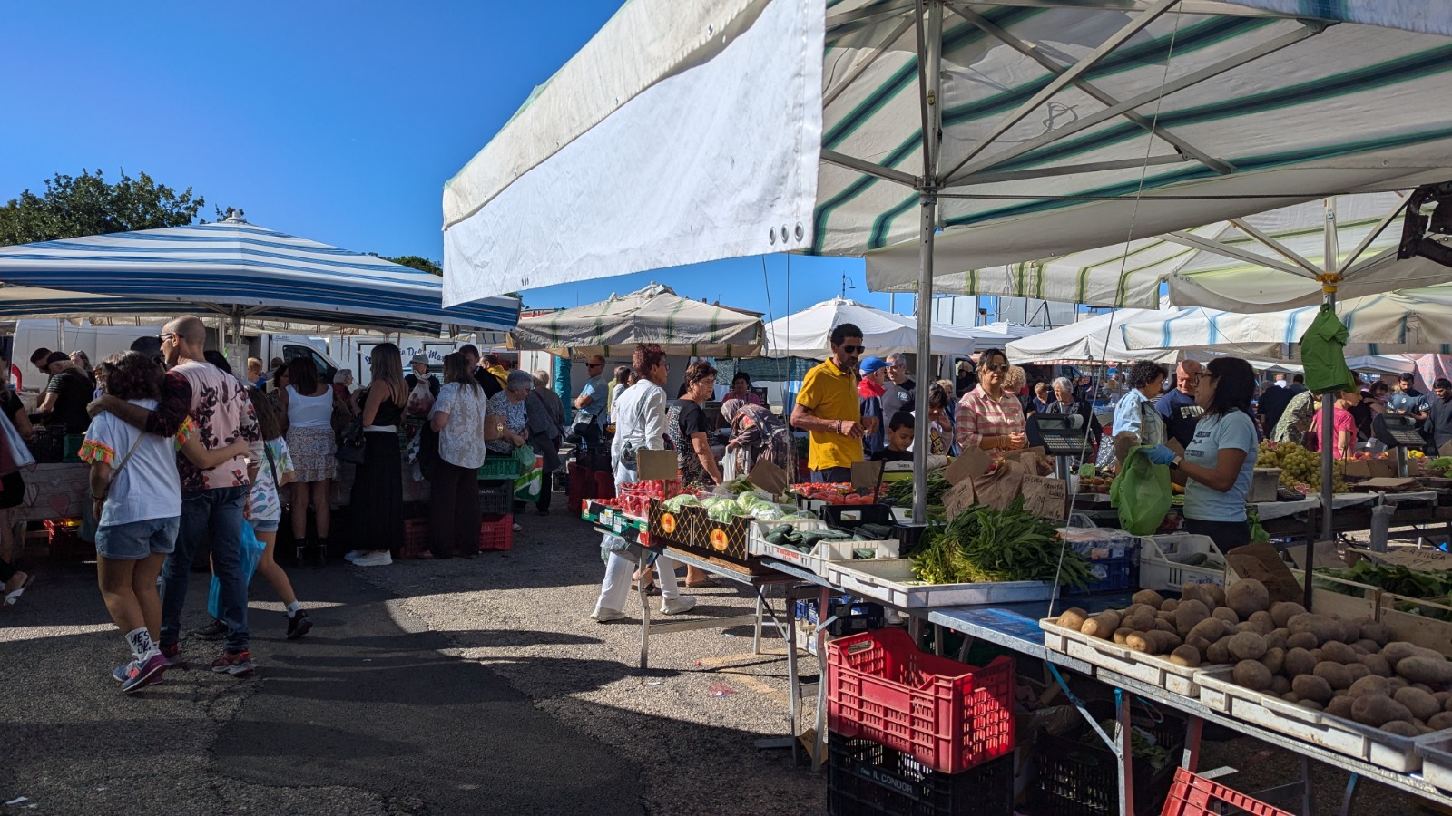 Fondi / Torna l’orario prolungato al mercato domenicale di via Mola di Santa Maria