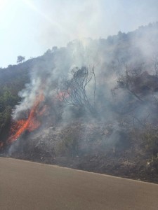 incendio suio terme 2