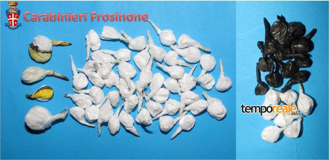 frosinone cocaina ceccano