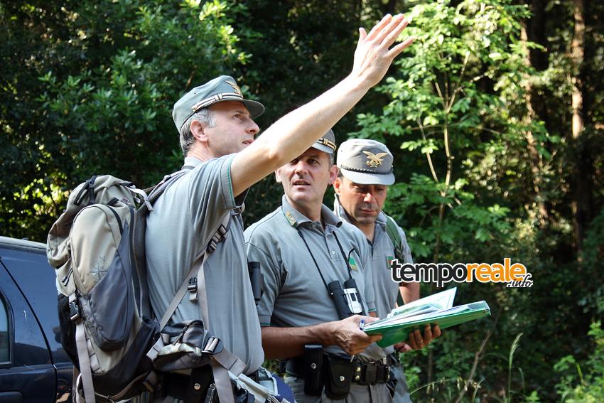 itri sequestro guardia forestale