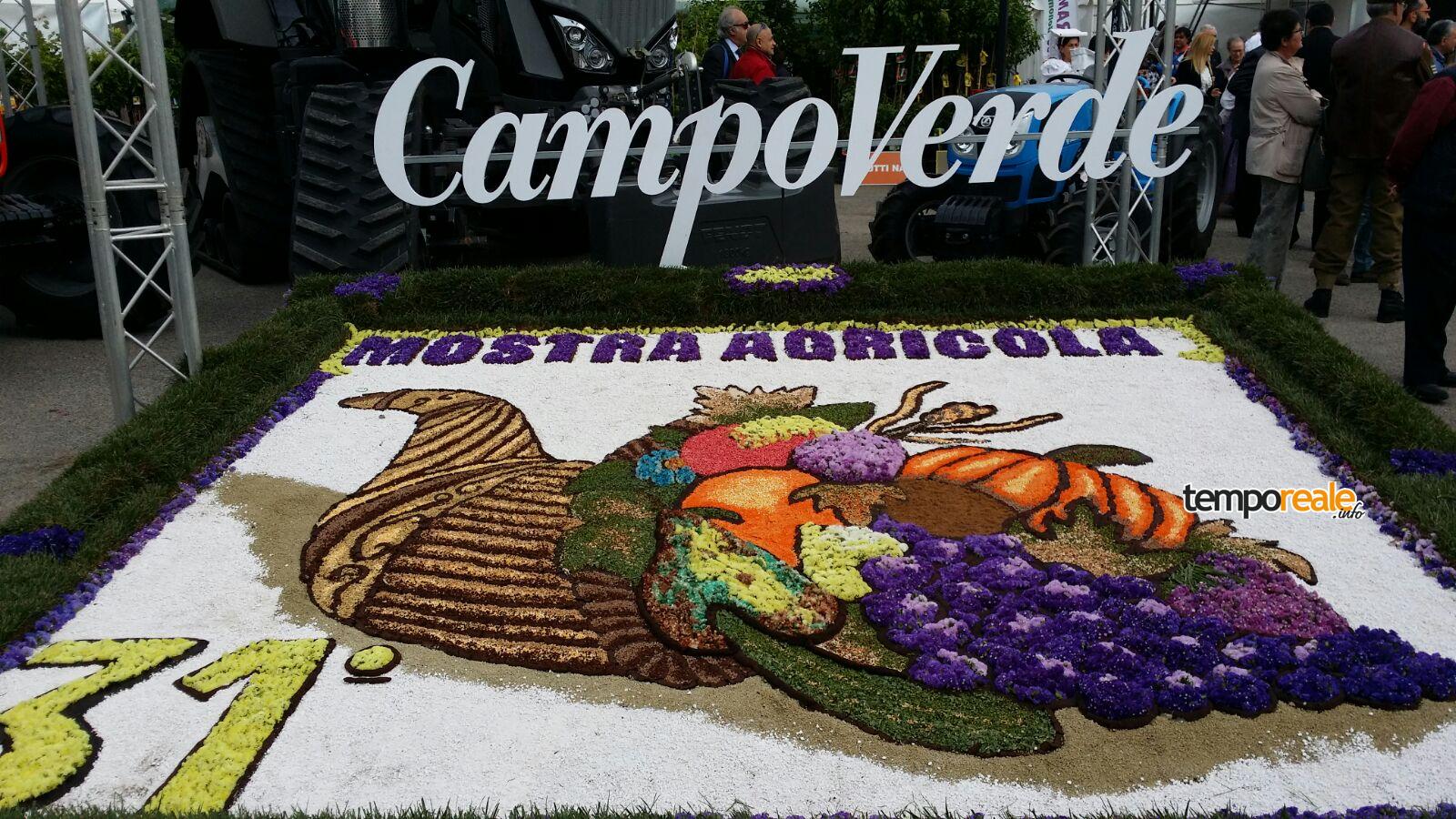 infiorata campoverde