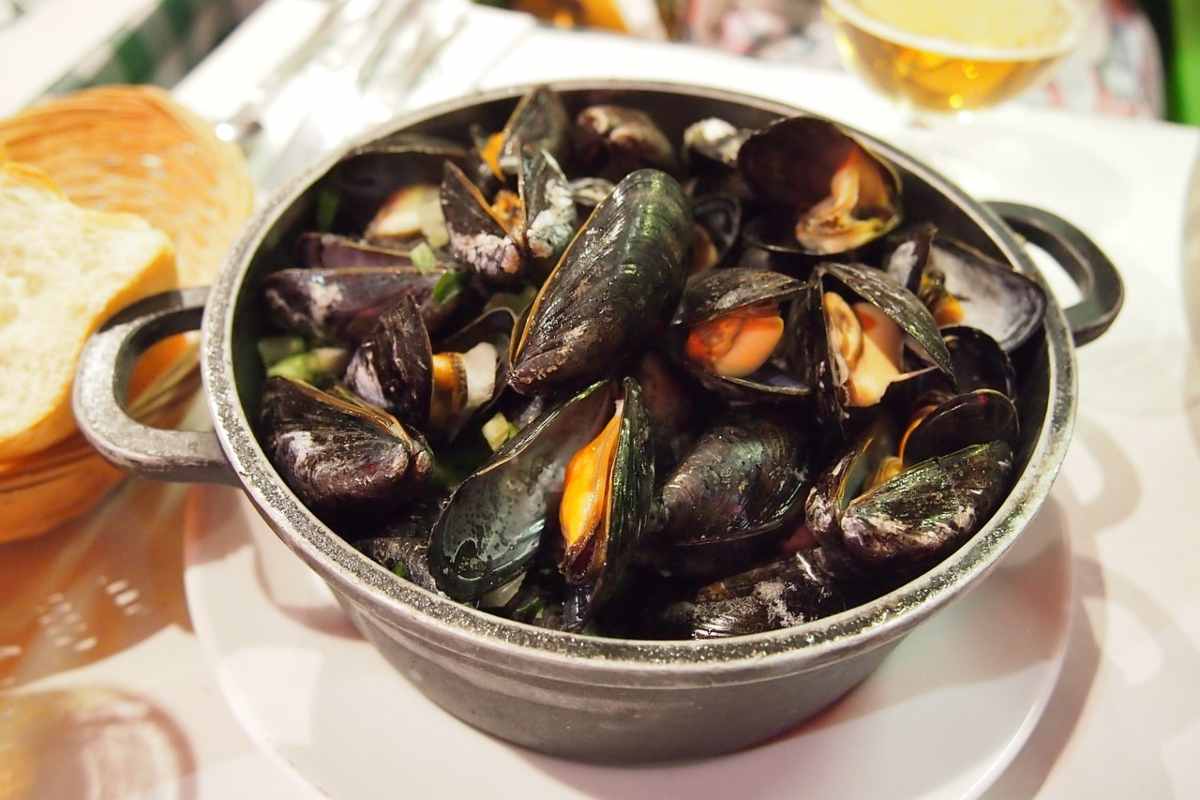 Piatto di cozze e frutti di mare