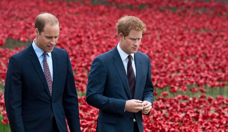 I principi Harry e William