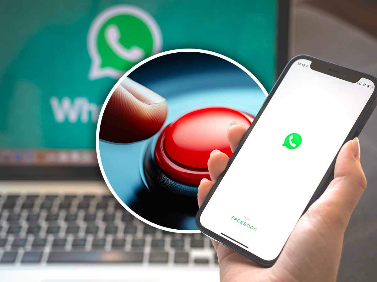 Schermata Whatsapp e pulsante